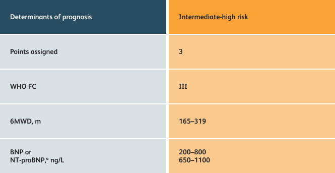 Intermediate high risk assessment table for PAH (4-strata model) Table showing determinants of prognosis for intermediate high risk in PAH patients using the 4-strata assessment tool.