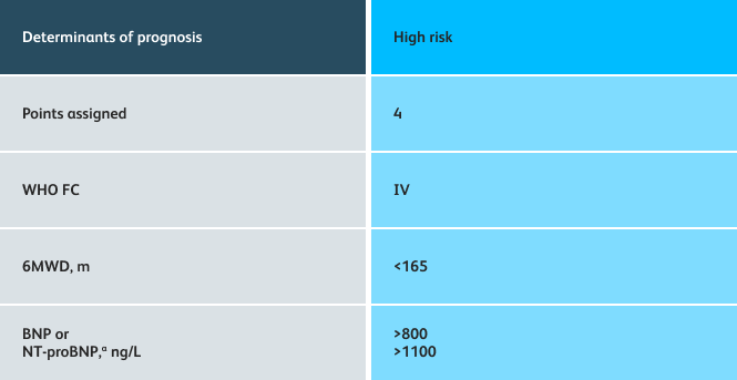 4 Strata Risk Assessment Table containing determinants of prognosis vs High Risk