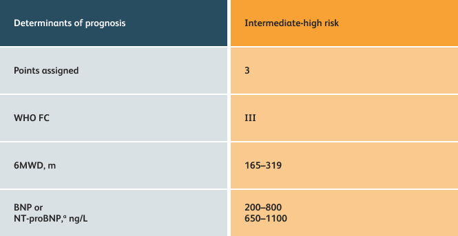 4 Strata Risk Assessment Table containing determinants of prognosis vs Intermediate-high risk